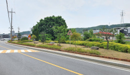 [e광주소식] 깨끗하고 품격 있게… 광주시 오포읍, 도로변 녹지 공간 환경정비 사업 시행