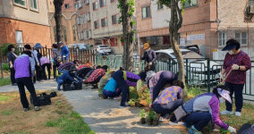 [e안산소식] 선암놀이터 새 단장… 본오1동 통장협의회 여름꽃 식재