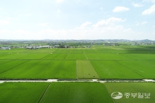 [e평택소식] 진정한 한류문화관광지 시작…  오성면 신리마을, 신개념 문화예술 관광지로 만든다