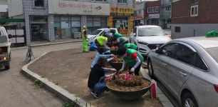 [e평택소식] 생활의 활력 되길… 통복동 새마을부녀회 여름꽃 식재 행사진행