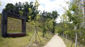 [e의정부소식] 명품 녹색도시의 시작… 의정부시, 걷고 싶은 명품 나무 숲길 조성