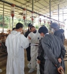 [e이천소식] 축산농가 호응…이천시, 찾아가는 맞춤형 종합컨설팅으로 한우농가 어려움 해결