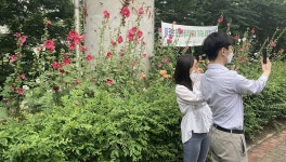 [e의정부소식] 꽃으로 위안을… 의정부시 신곡2동, 장미꽃밭 지역 명소로 탄생