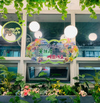 [e의정부소식] 실내정원에서 인생 컷을… 송산1동 주민센터 내 녹색 포토존 설치