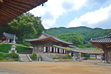 [아름다운 경기도의 사찰] 파주 보광사, 코끼리·사자 벽화에 미소 짓고 풍경·새소리에 힐링하는 천년고찰
