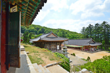 [아름다운 경기도의 사찰] 파주 보광사, 코끼리·사자 벽화에 미소 짓고 풍경·새소리에 힐링하는 천년고찰