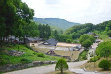 [아름다운 경기도의 사찰] 파주 보광사, 코끼리·사자 벽화에 미소 짓고 풍경·새소리에 힐링하는 천년고찰