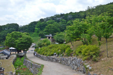 [아름다운 경기도의 사찰] 파주 보광사, 코끼리·사자 벽화에 미소 짓고 풍경·새소리에 힐링하는 천년고찰
