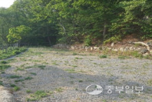[휴가철 가볼만한 곳] 테마별로 즐기는 경기도 캠핑장 6선