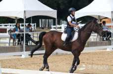 한국마사회, 제11회 승마지도사 자격 필기시험 최다 합격자 배출