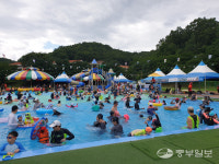 평택시무봉산청소년수련원 숲속 수영장 개장 취소