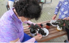 [e의정부소식] 무료한 일상에 활력소…의정부시, 독거 어르신에 반려식물 지원