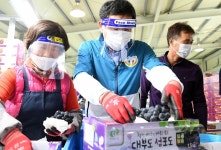 [e안산소식] 이마트 전국 지점 판매…안산시, 고잔점과 대부포도위크 행사 추진