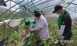 우리공화당 조원진 대표·주요 당직자·당원, 여주시 점동면서 수해복구 봉사활동 전개