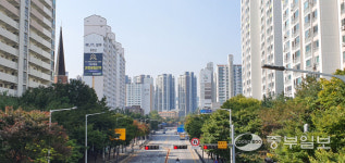 [박다예 기자의 부동산 수다방] 용인 수지 리모델링 훈풍에 집값 들썩