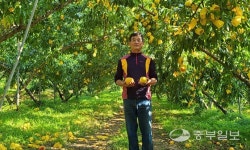 [농업왕 새농민] 이재권 풍원농원 대표 땅을 알아야 맛 좋은 복숭아 길러 내죠