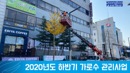 [e여주소식] 아름다운 가로 경관을… 여주시, 하반기 가로수 관리사업 추진