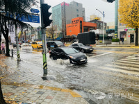 우수수 떨어진 가을낙엽에 배수구 막혀 인천 도로 곳곳 물난리 골치