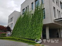 경기도, 학교·도서관 등 87곳에 '그린커튼' 조성… 축구장 2개 면적 녹지조성 효과