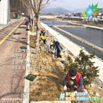 [e양평소식] 봄맞이 준비 완료… 양평군 단월면, 산책로 꽃잔디 식재