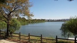 수원 서호저수지 인근서 50대 여성 숨진 채 발견…경찰 부검 진행 중