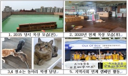 평택 동일공업고등학교 캣스토리 동아리 2021 배움터 교육지원사업에 선정