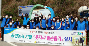 인천 옹진군 지역 내 농협, 섬 지역 못자리 일손 돕기에 앞장