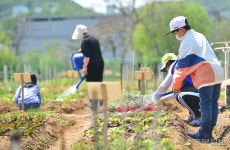 [중부포토] 휴일 공공주말농장 찾은 시민들