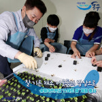 잘 기른 채소 이웃들의 밥상으로… 인천동구, 송림아뜨렛길 스마트 팜 체험 행사 개최