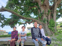 [창간 30년 특별기획] 불안한 평화…인천 정치권 평화 해법찾기 나서야