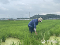 [농업왕 새농민] 서범석 청암농장 대표 쌀과 고추 농사 전념해 고품질 작물 재배