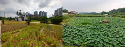 주민 화합·소통의 장…파주시, 마을 정원 사업 중간평가로 6개 마을 선정