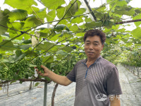 [농업왕 새농민] 류재성 상현네 포도농장 대표 품질 유지 위해 영농일지 습관화