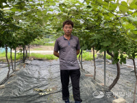 [농업왕 새농민] 류재성 상현네 포도농장 대표 과수화상병 등 포도 방제 중요합니다