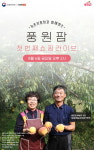"명인이 생산한 복숭아 맛보세요"... 이천시, 지역 농산물 쇼핑라이브 진행