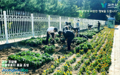 시민들에게 따뜻한 행복을…과천시, 주암동 일대 마을 유휴지 꽃길 조성