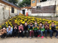 가을 분위기 느끼세요... 인천 동구 송림1동, 가을맞이 국화꽃밭 조성