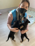 동물복지센터 찾은 경기복지재단, 창립 14주년 기념 사회공헌활동
