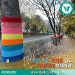 추운 겨울 뜨개옷 입고 따뜻하게 보내거라…과천시 문원동, 뜨개옷 겨울나무길 조성