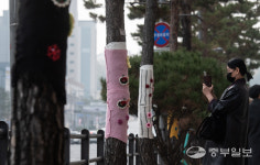 예쁘게 옷 입은 가로수