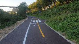 안양천변 산책로 확장·신설…최대호 안양시장 세계적 명소로 만들겠다