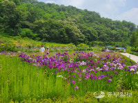 파주 율곡수목원, 코로나19로 지친 시민에게 위로와 희망의 선물로