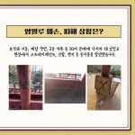 [카드뉴스] 반드시 잡는다… 여주시 영월루 낙서 훼손 사건