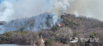여주 안금리 산불 임야 6여ha태우고 진화