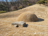 용인시, 고려 말 충신 이사영·이백찬 묘 향토유적 지정·고시