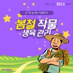 [카드뉴스] 안성시농업기술센터, 동계 사료작물 생육 관리 당부