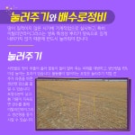 [카드뉴스] 안성시농업기술센터, 동계 사료작물 생육 관리 당부