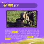 [카드뉴스] 안성시농업기술센터, 동계 사료작물 생육 관리 당부