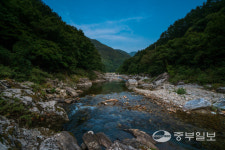 이천 산수유마을·연천 임진강·가평 백둔천 생태관광 거점 조성