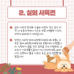 [카드뉴스] 용인시, 실외 사육견·길고양이 중성화 수술 지원…올바른 반려동물 문화 조성